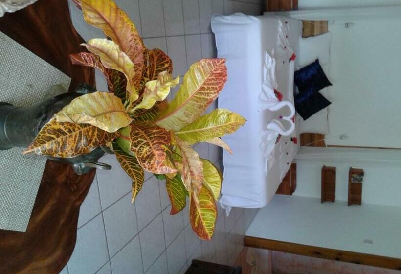 اتاق سوپریور, Le Relax St. Joseph Guest House
