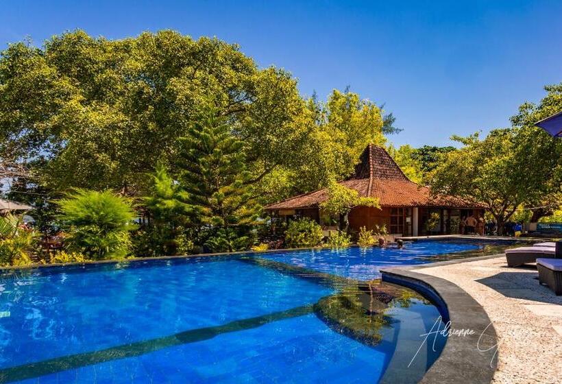 اتاق خانوادگی, Oceans 5 Dive Resort