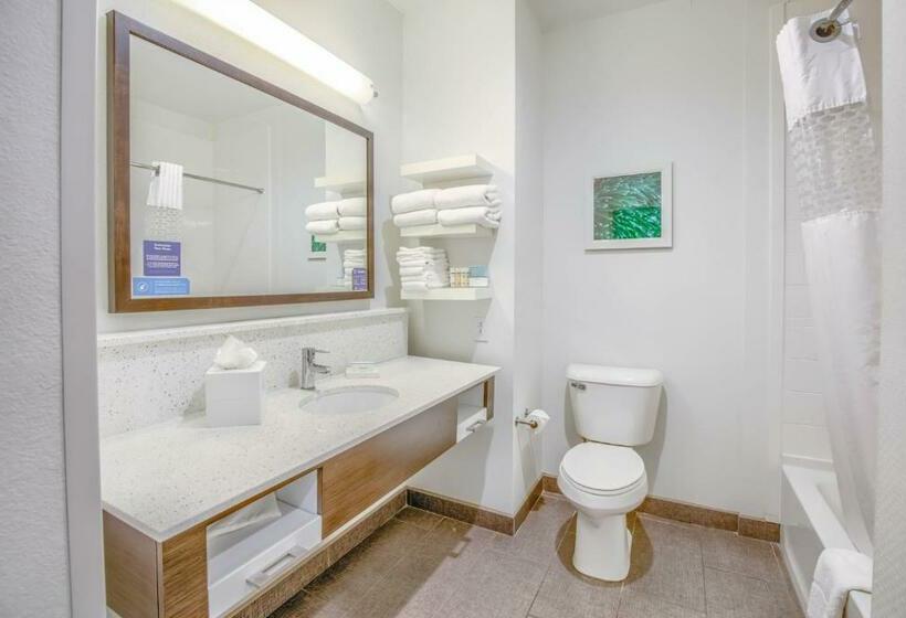 اتاق استاندارد با تخت بزرگ, Hampton Inn Gulf Shores