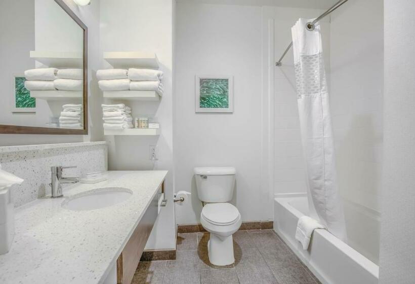 اتاق استاندارد, Hampton Inn Gulf Shores
