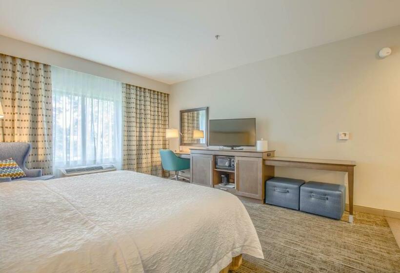 اتاق استاندارد با تخت بزرگ, Hampton Inn Gulf Shores
