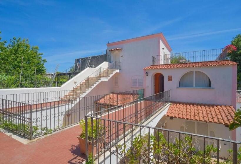 استودیوی استاندارد, Residence Aegidius