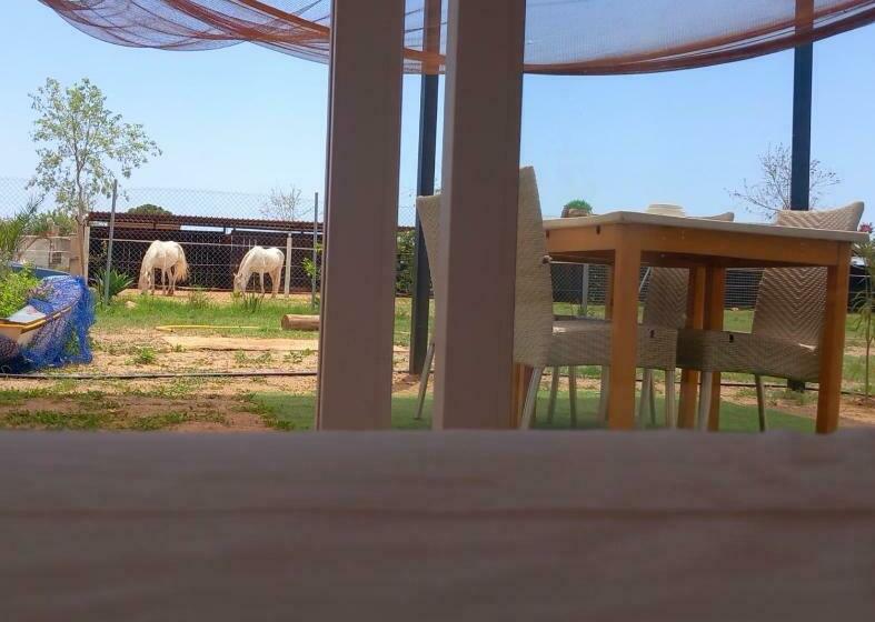 اتاق لوکس, Finca Caballito De Mar