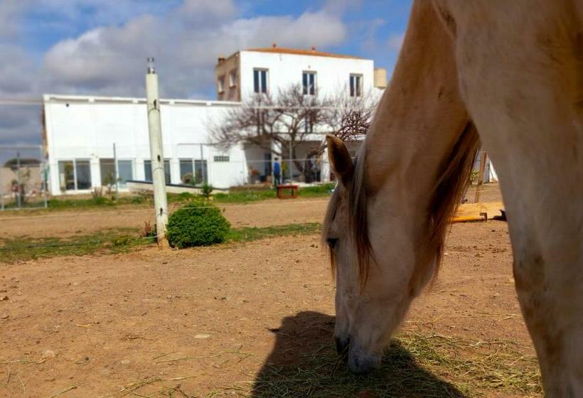 اتاق لوکس, Finca Caballito De Mar