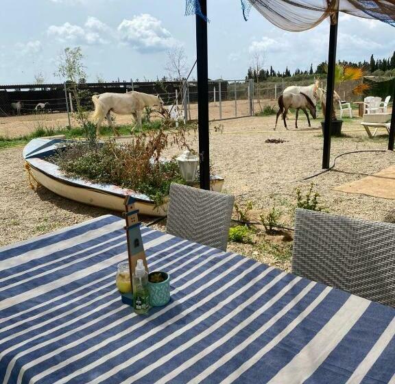 اتاق لوکس, Finca Caballito De Mar