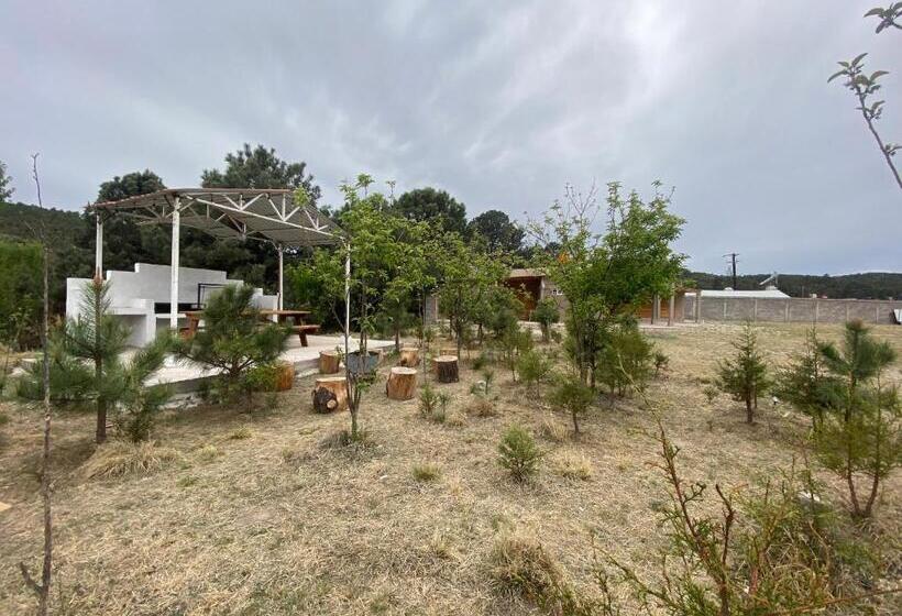 سوییت خانوادگی, Cabañas Rochivo Ranch