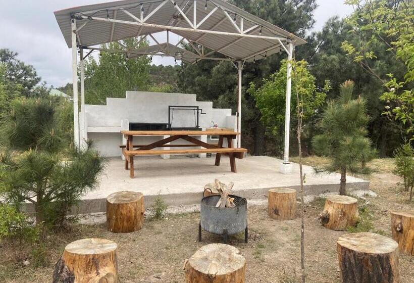 سوییت خانوادگی, Cabañas Rochivo Ranch