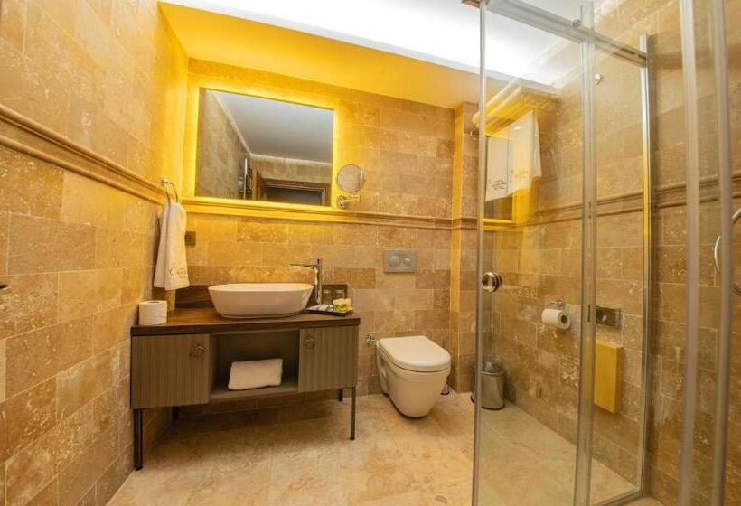 اتاق استاندارد, Four Mansions