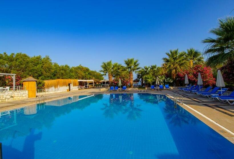 اتاق استاندارد, Ladonia Hotels Zemda Gümüşlük