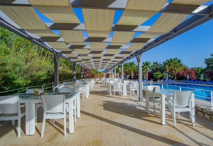 اتاق استاندارد, Ladonia Hotels Zemda Gümüşlük