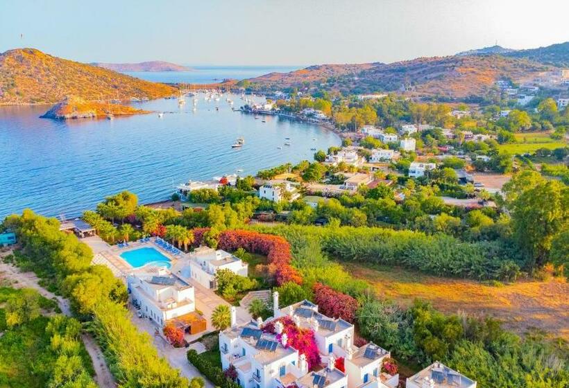 اتاق استاندارد, Ladonia Hotels Zemda Gümüşlük
