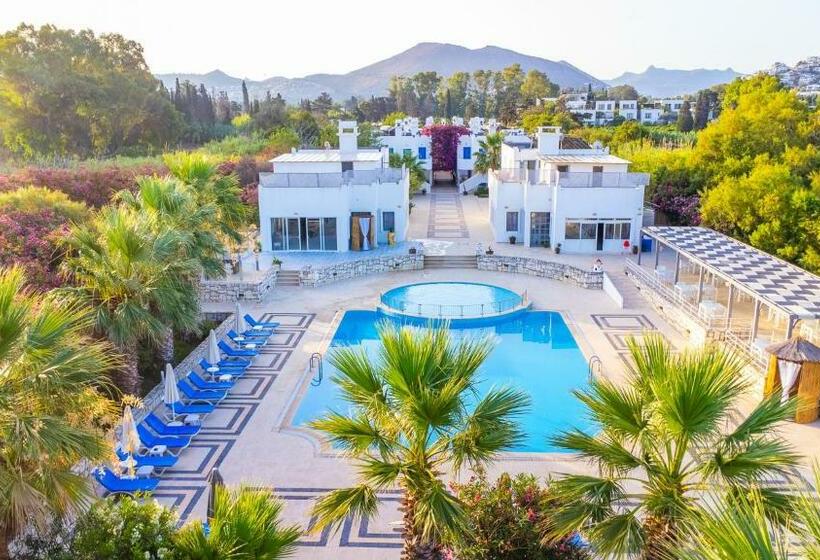 اتاق استاندارد, Ladonia Hotels Zemda Gümüşlük