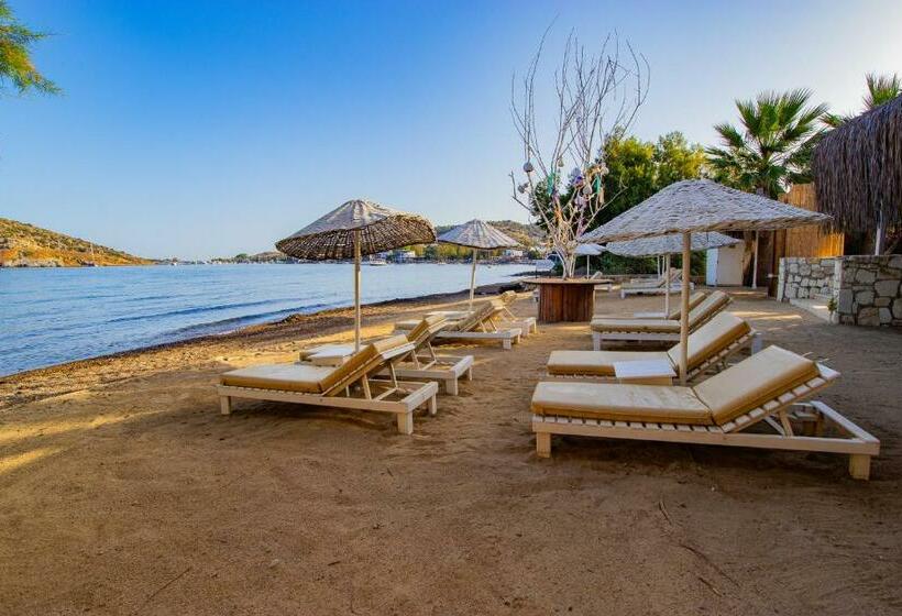 اتاق استاندارد, Ladonia Hotels Zemda Gümüşlük