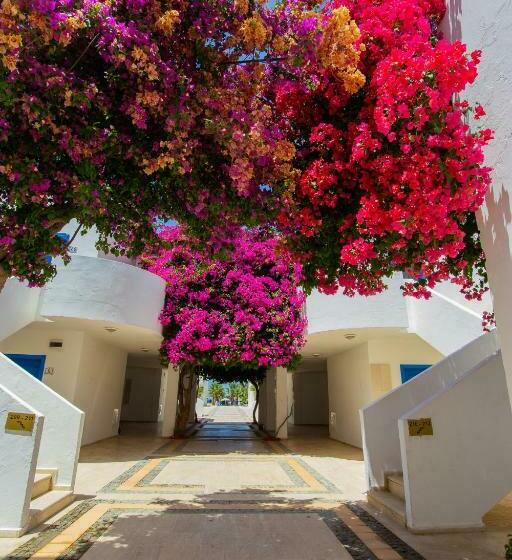 اتاق استاندارد, Ladonia Hotels Zemda Gümüşlük