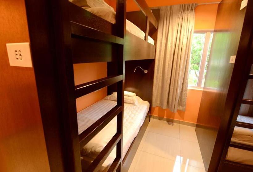 Cama en Habitación Compartida, Sri Packers   Klia