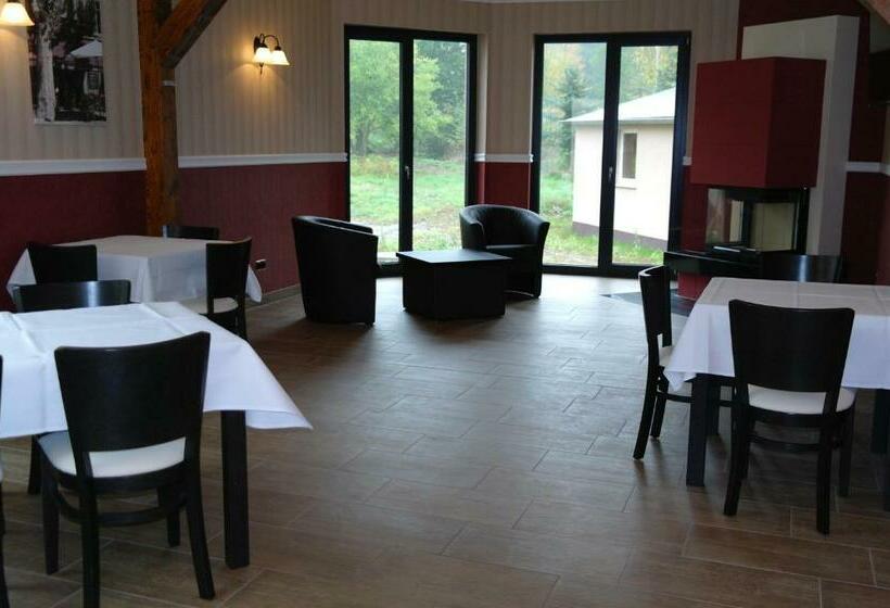 اتاق استاندارد یک نفره, Heidehotel Jagdhof Dobra Gmbh