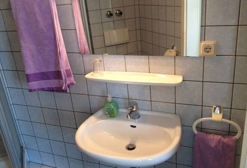 اتاق استاندارد یک نفره, Apartmenthaus Somborn