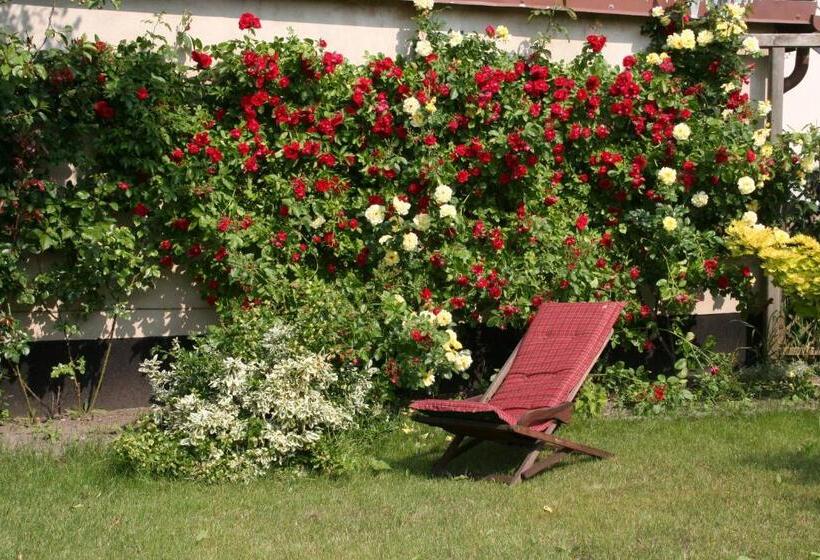 آپارتمان 2 خوابه, Pension Villa Beer