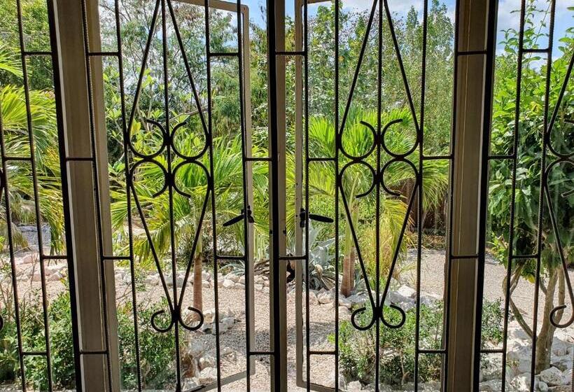اتاق استاندارد با چشم‌انداز باغ, Abaai Resort B&b