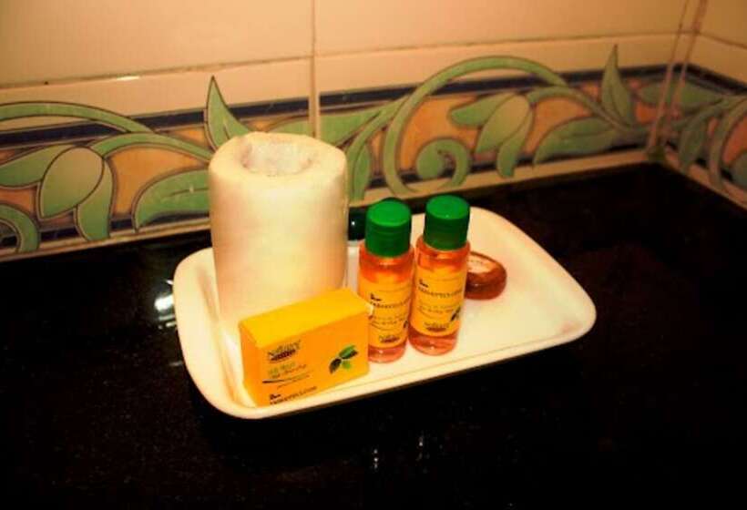 اتاق لوکس, Fabhotel Green View