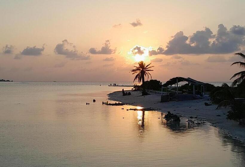 اتاق اکونومی, Tropical Stay Thulusdhoo