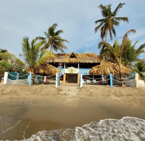 آپارتمان 1 خوابه همکف, Tolu Paradise 101