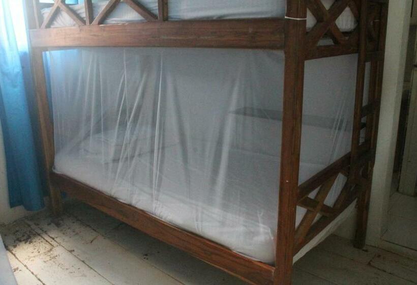 تختخواب در اتاق مشترک, Taida Experiences Hostel