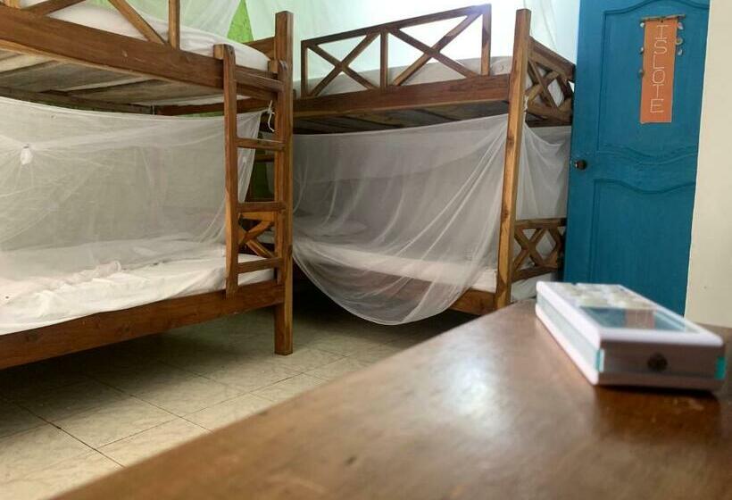 تختخواب در اتاق مشترک, Taida Experiences Hostel