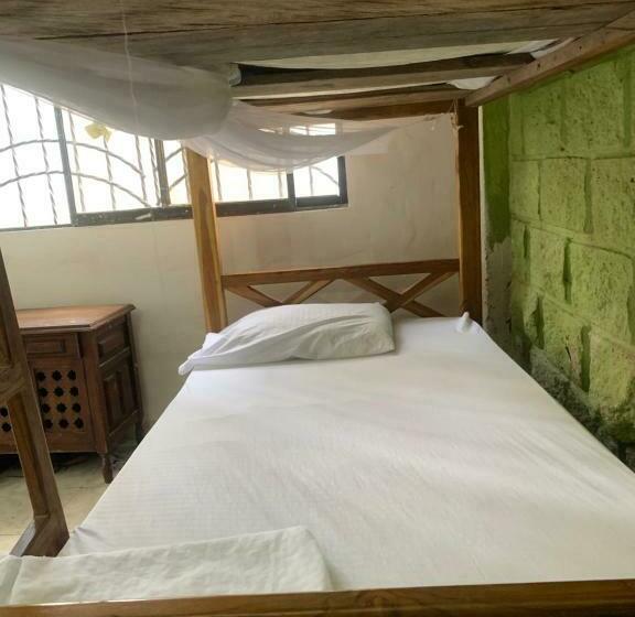 تختخواب در اتاق مشترک, Taida Experiences Hostel