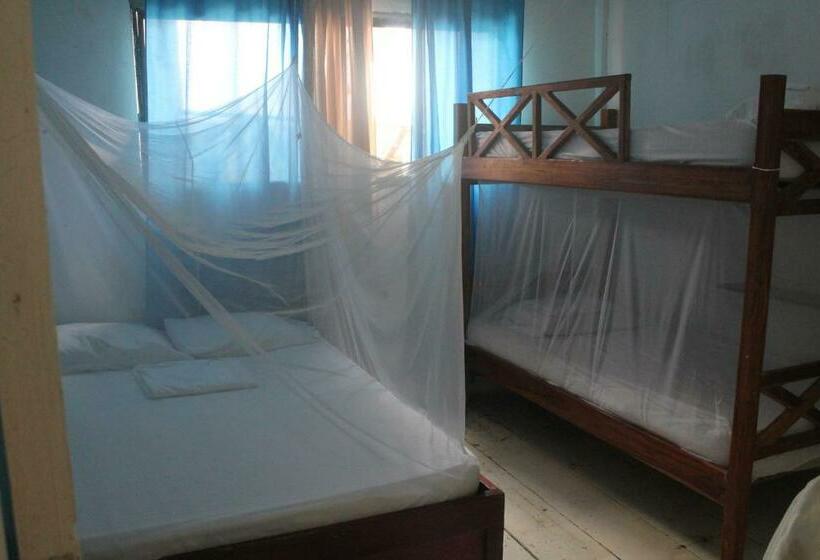 اتاق استاندارد چهار تخته, Taida Experiences Hostel