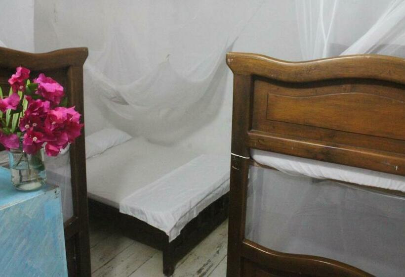اتاق خانوادگی, Taida Experiences Hostel