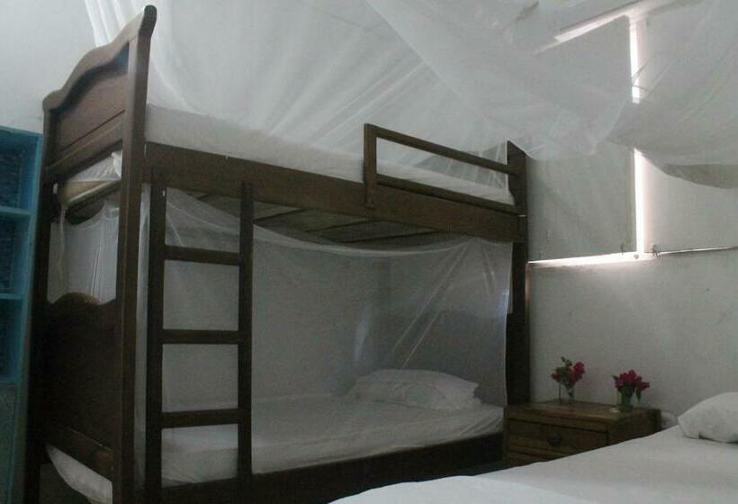 اتاق خانوادگی, Taida Experiences Hostel