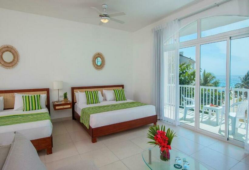 اتاق اساندارد با چشم‌انداز جانبی به دریا, Hm Alma de Bayahibe - Adults Only