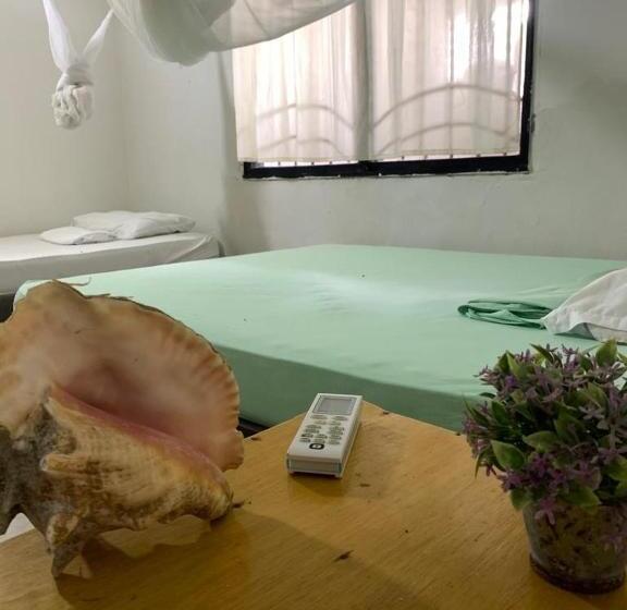 اتاق استاندارد سه نفره, Taida Experiences Hostel