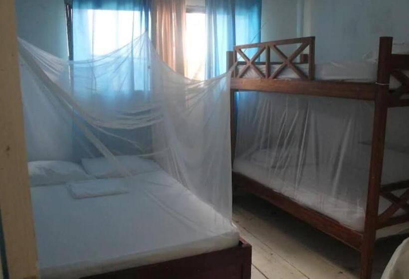 اتاق خانوادگی, Taida Experiences Hostel