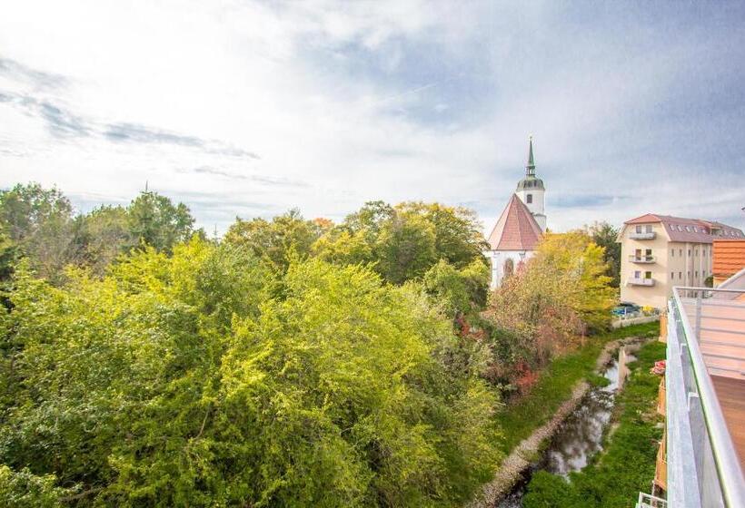استودیوی استاندارد, Aparthotel Am Fließ