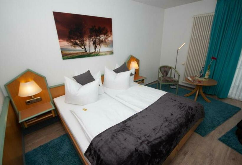 اتاق سوپریور, Paulin Hotel Trier