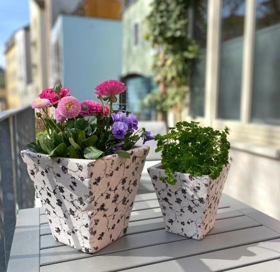 آپارتمان 1 خوابه, Pension22