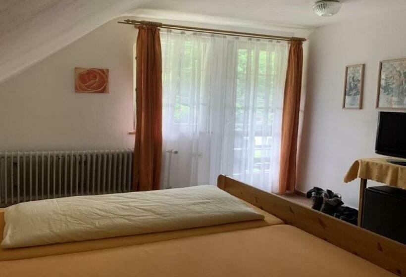 اتاق استاندارد یک نفره, Waldeck In Todtnau