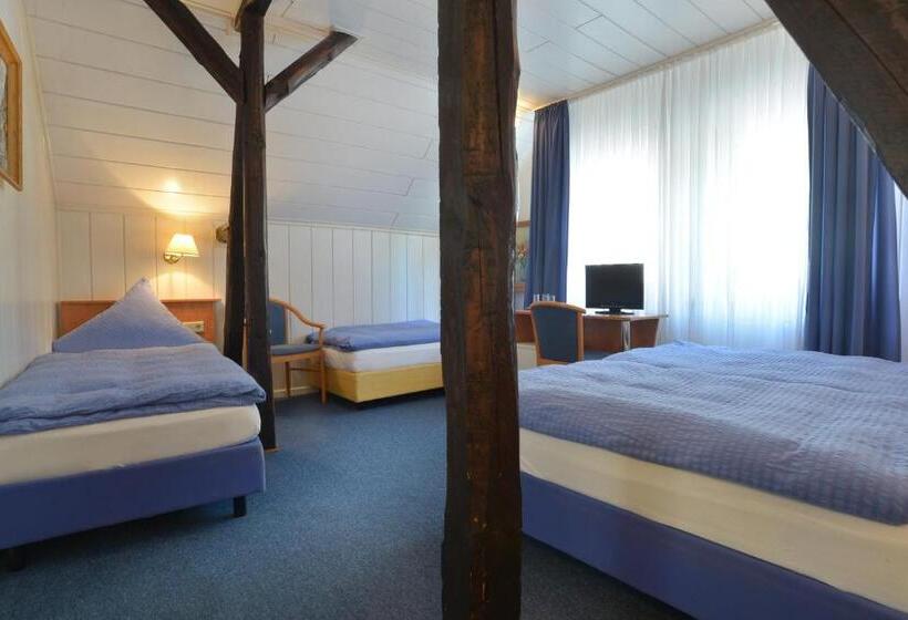 اتاق استاندارد سه نفره, Zehnthof