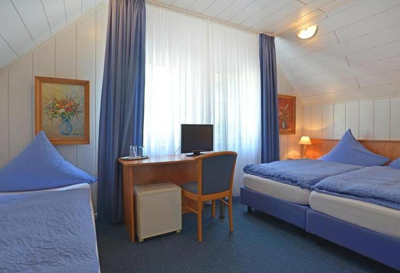 اتاق استاندارد سه نفره, Zehnthof