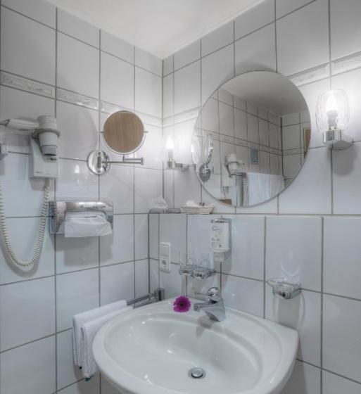اتاق سوپریور یک تخته, Paulin Hotel Trier