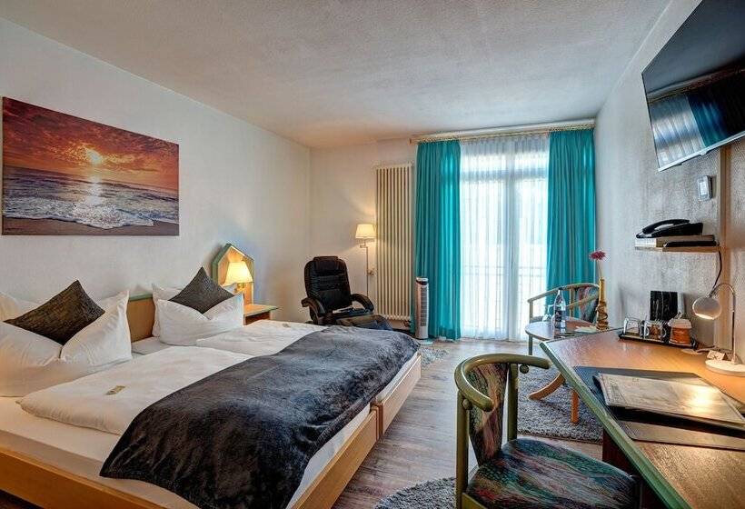 اتاق سوپریور یک تخته, Paulin Hotel Trier