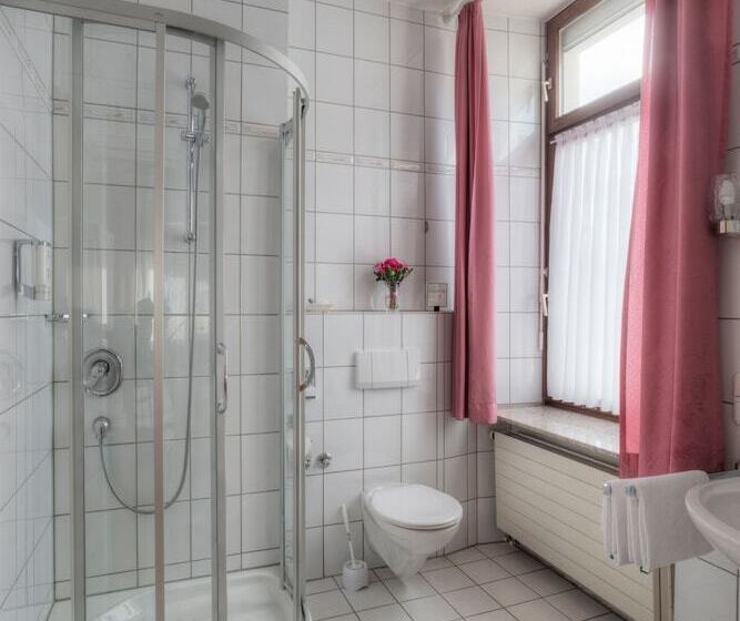 اتاق استاندارد, Paulin Hotel Trier