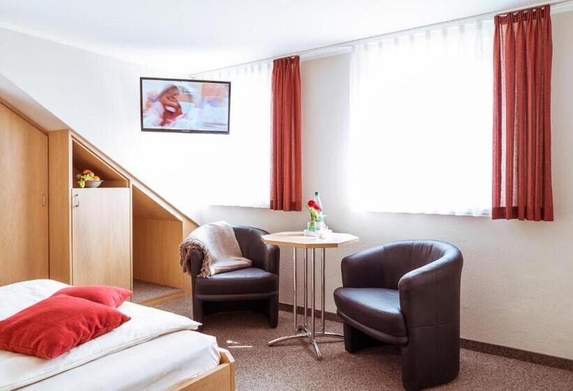 اتاق استاندارد یک نفره, Pension Hotel Sartor