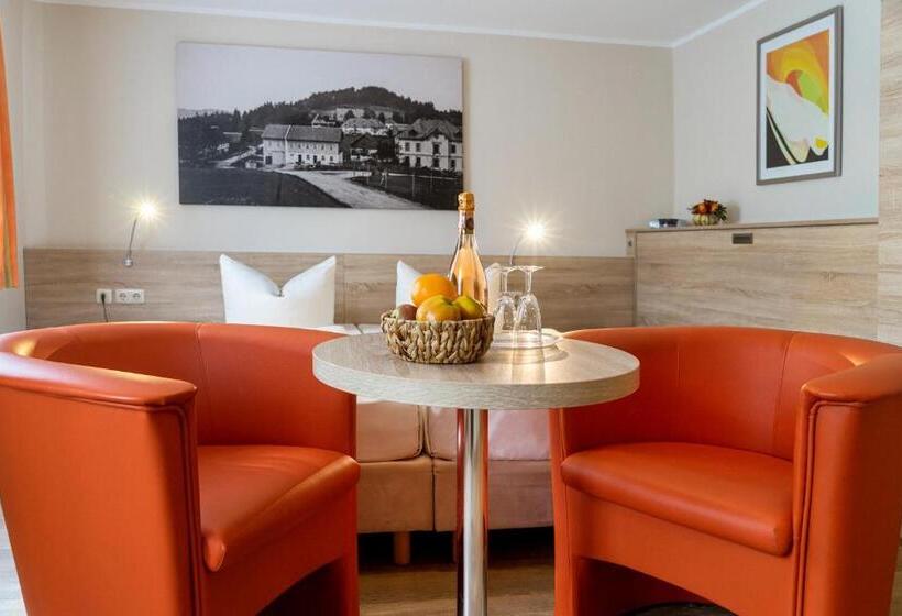 اتاق استاندارد, Pension Hotel Sartor