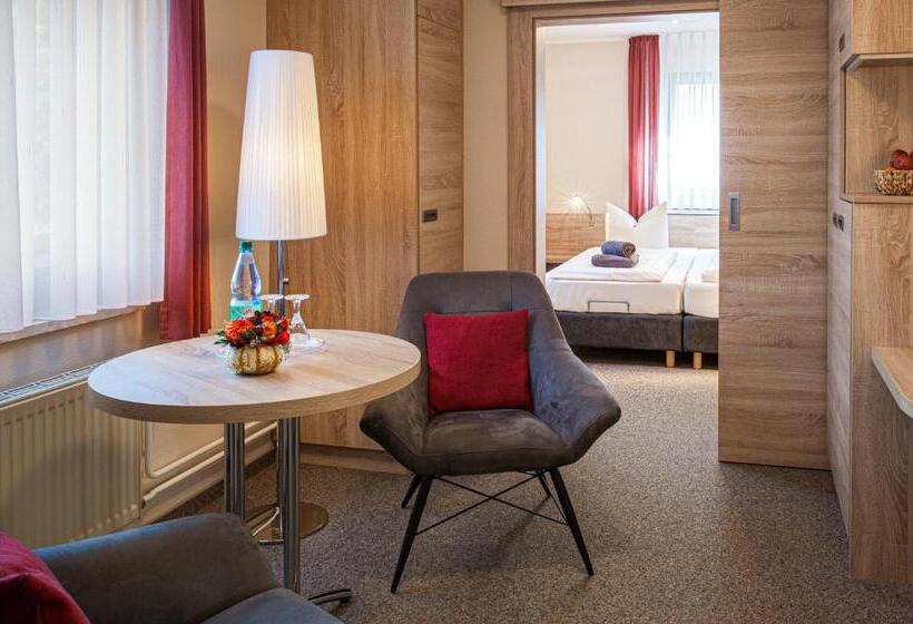 اتاق استاندارد, Pension Hotel Sartor