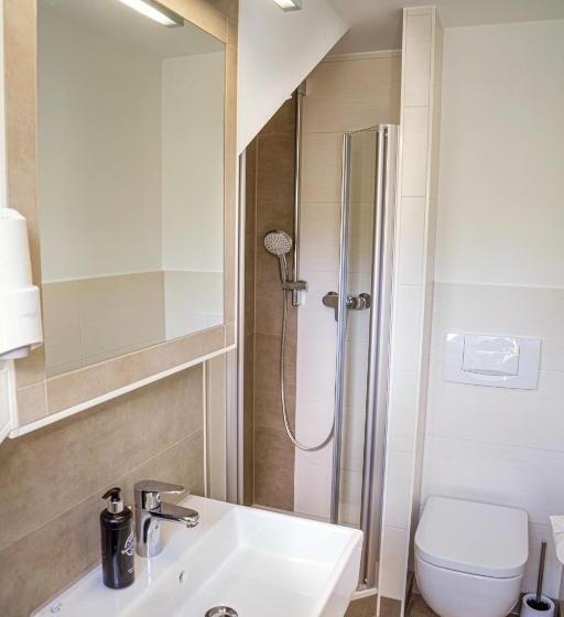 اتاق استاندارد, Pension Hotel Sartor