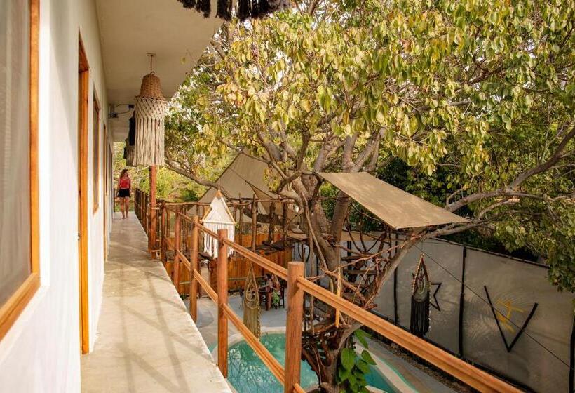 اتاق اکونومی, Casa Om Chakra