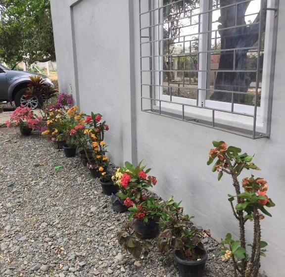 اتاق لوکس, Teddys Bed & Breakfast Lodge